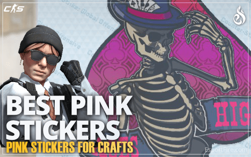 Thumbnail of article Find the best pink stickers for CS2 crafts