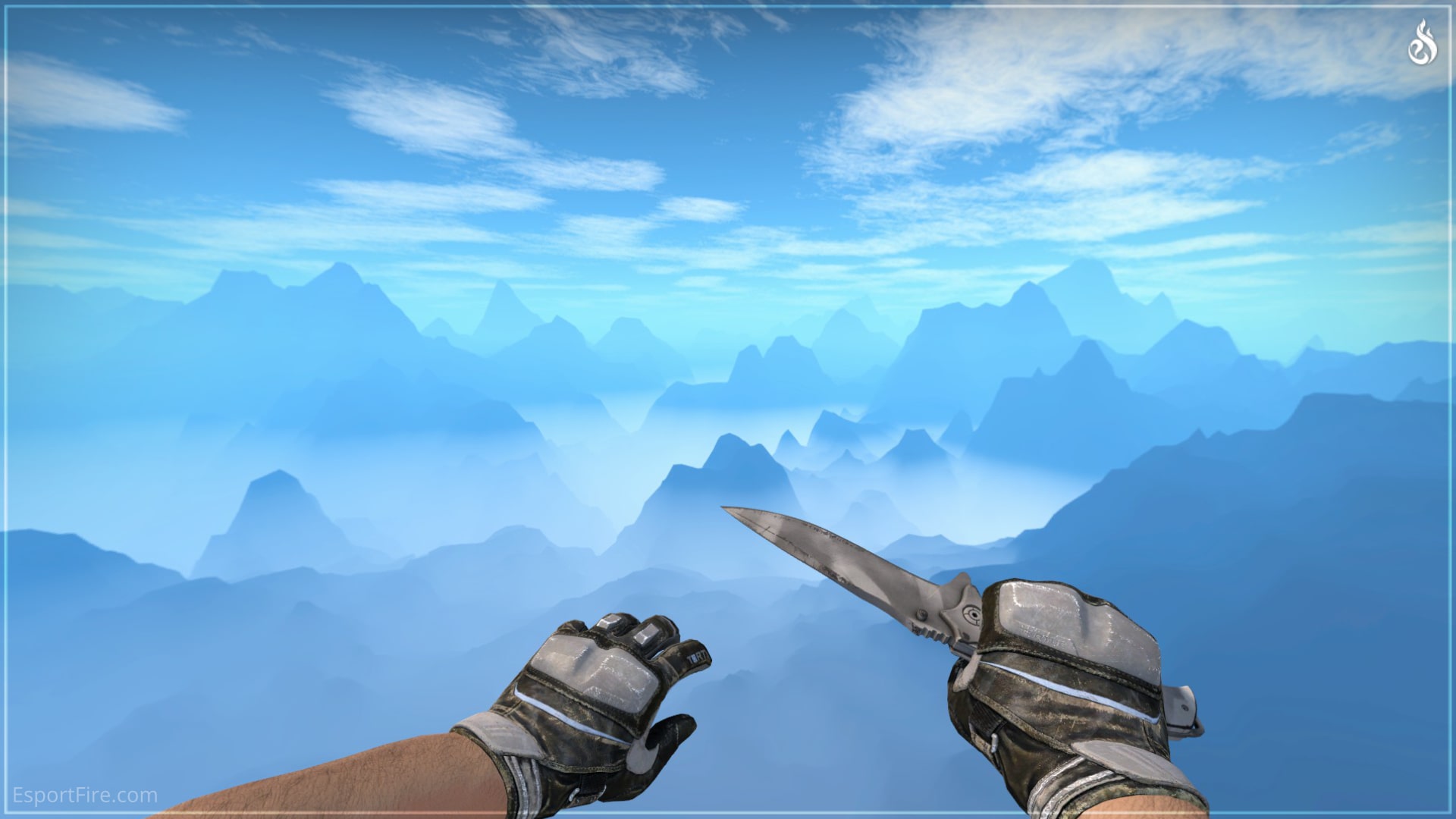 Best Glove Knife Combos under USD 250 in Counter-Strike