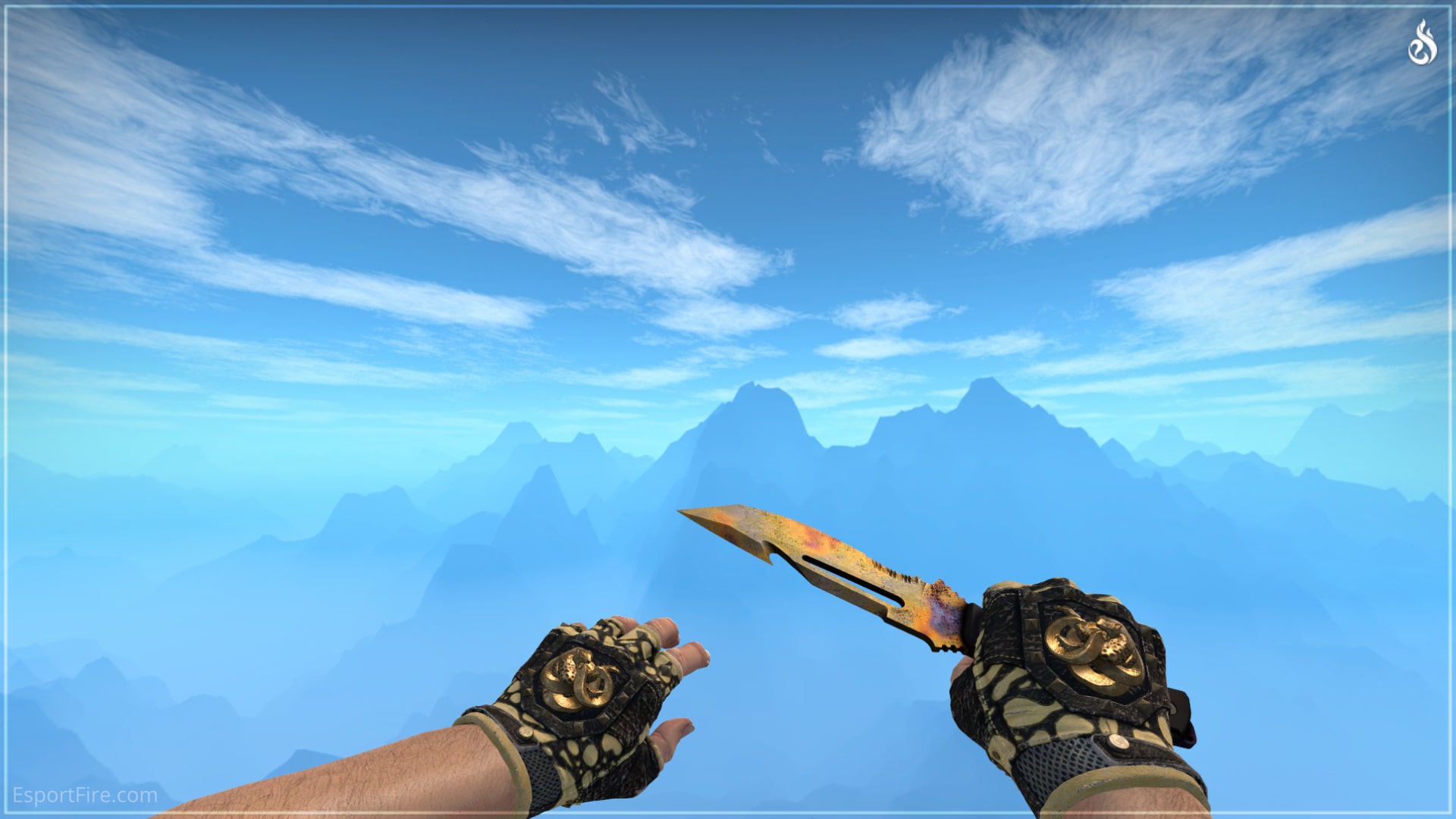 Best Glove Knife Combos under USD 250 in Counter-Strike