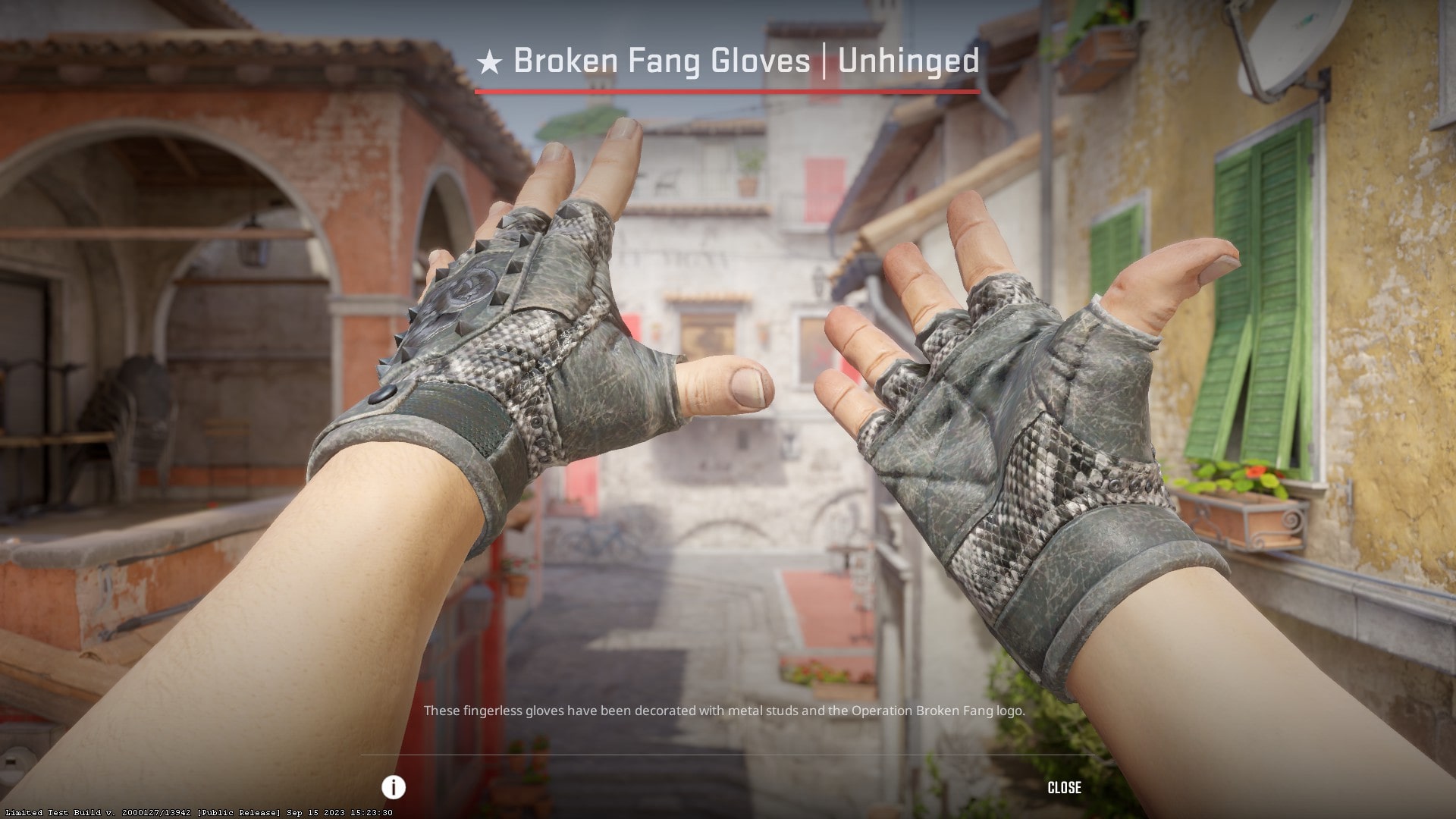 Cheapest CS2 gloves in 2023 - Broken Fang Gloves Unhinged