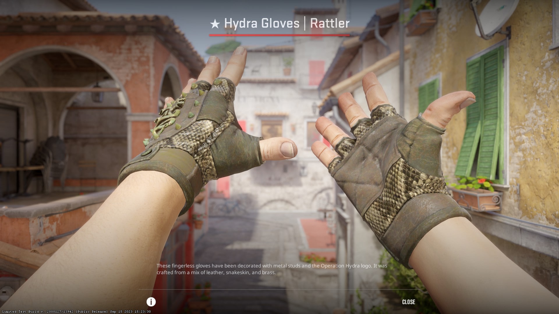 Cheapest CS2 gloves in 2023 - Hydra Gloves Rattler