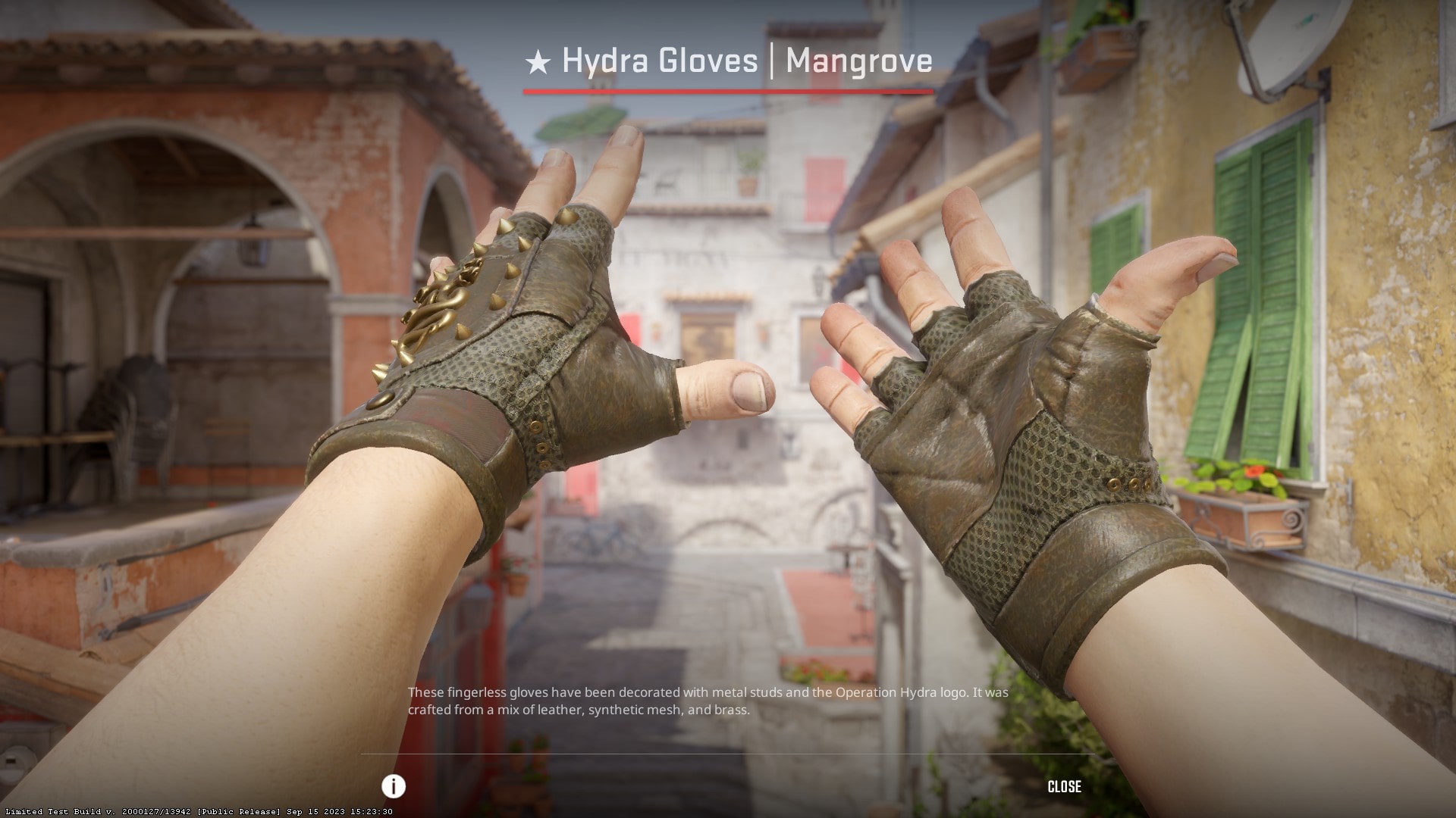 Cheapest CS2 gloves in 2023 - Hydra Gloves Mangrove