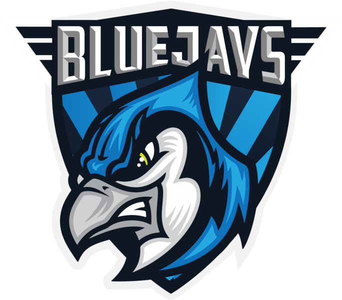 Team Logo of BLUEJAYS Int.