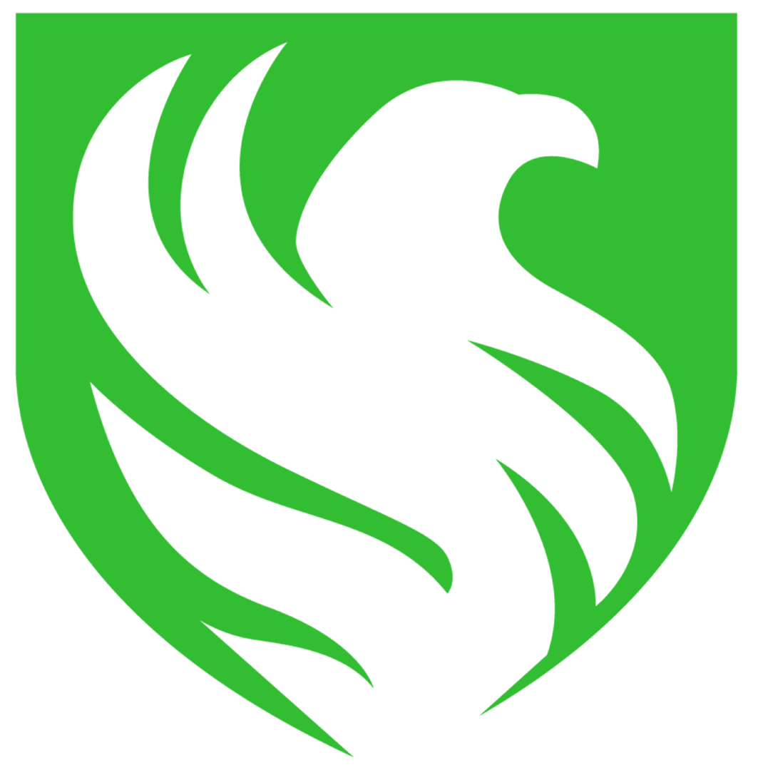 Team Logo of Falcons